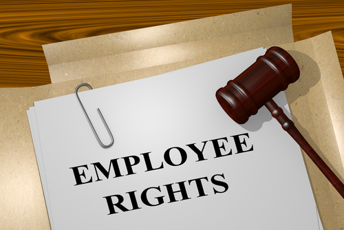What are your employment rights?